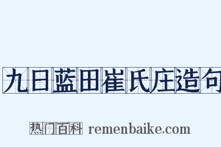 九日蓝田崔氏庄造句是什么意思的图片